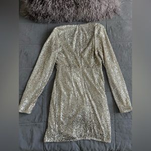 Silver Sequin Dress